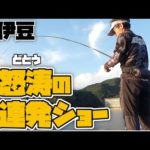 【紀州釣り】西伊豆の黒鯛紀州釣りリベンジ！怒涛の連発ショー開幕【黒鯛釣り】【釣武者】