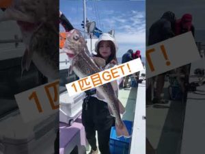 日本海でタラ釣り‼️海鮮丼をタラ腹食べました😊