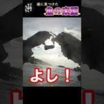 釣りって大変だな…#Shorts