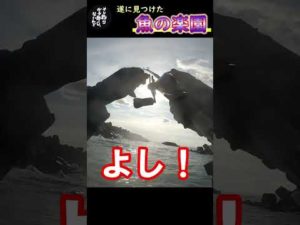 釣りって大変だな…#Shorts