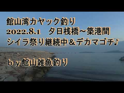 館山湾カヤック釣り　シイラ祭り継続中＆デカマゴチ　2022.8.1　夕日桟橋～築港間