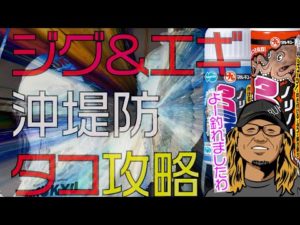 タコ釣りの基本が丸わかり、ジグ&エギで大阪湾沖堤防のタコ攻略！