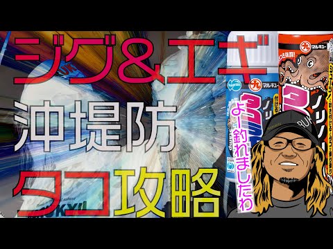 タコ釣りの基本が丸わかり、ジグ&エギで大阪湾沖堤防のタコ攻略！