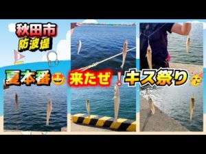秋田市【防波堤 キス釣り】夫婦で釣り♬ ダブルヒットも！