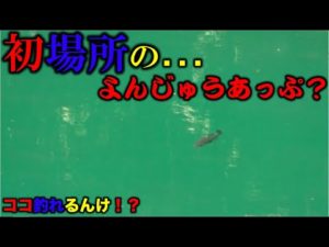 【バス釣り】初場所での…よんじゅうあっぷ…か？