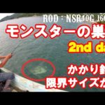 おぉぉぉっ！かかり釣り限界サイズ降臨！