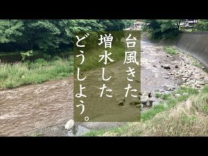 渓流釣り｜増水後のテンカラ釣り｜要点ダイジェスト