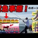 【衝撃】ヒロミさん流バス釣りで爆釣する!?!!!【切り抜き】