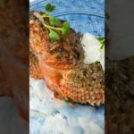 釣り物🎣〆オニオコゼ薄造りレオくんスペシャル✨🐢