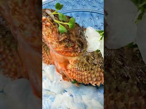 釣り物🎣〆オニオコゼ薄造りレオくんスペシャル✨🐢