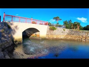 公園の水路に大量の小魚が逃げ込んできたので泳がせ釣りしてみると…