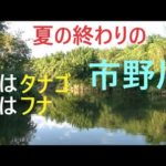 夏の終わりの市野川で小物釣り【川島町】☆smallfishing in Saitama  Japan☆