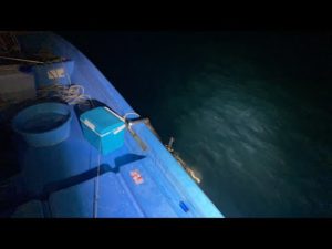 真夏の夜のアジ釣りライブ