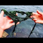 信じられない…前代未聞のこの釣りが衝撃過ぎた！！