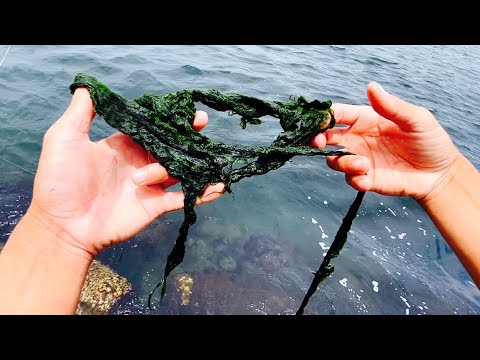 信じられない…前代未聞のこの釣りが衝撃過ぎた！！