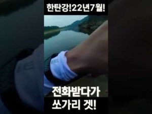 전화받다가 쏘가리 겟 #shorts #쇼츠 #쏘가리 #루어 #한탄강 #낚시 #釣り #Fishing