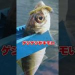 猛暑の中の東京湾アジ釣りはやめとけ死ぬぞ