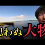 浜名湖釣り調査、舞阪