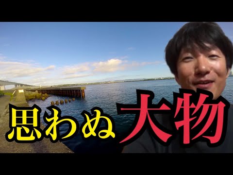浜名湖釣り調査、舞阪