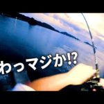 釣りをしていて根掛かりかと思ったら、違う物があがってきてビビりました。