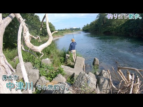 厚木市 中津川で小物釣り。暑い時は山方面に行きたくなります。