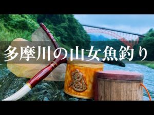 久しぶりに多摩川のヤマメ釣り