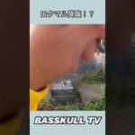 【バス釣り】トップがロクマルに喰われる映像 #shorts #raid #バス釣り