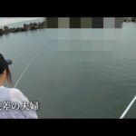 釣りをしてたら前で泳がれた、、、どうする？？   びしょ濡れで釣りするリアルな夫婦    #海釣り #夫婦