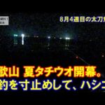 寸止め爆釣・やったぜ和歌山！夏太刀魚開幕！8月4週目のタチウオ釣り