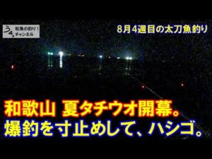 寸止め爆釣・やったぜ和歌山！夏太刀魚開幕！8月4週目のタチウオ釣り