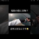 【簡単】堤防の際にいる青物の釣り方　#釣り #shorts