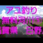 2022.7.31  アユ釣り　無料河川⑤(滋賀県　日野川)