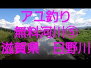 2022.7.31  アユ釣り　無料河川⑤(滋賀県　日野川)