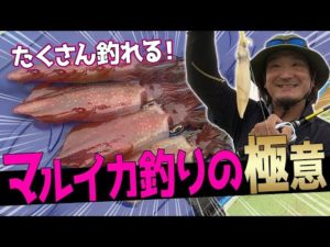 浅棚マルイカ釣りの魅力と完全攻略法！