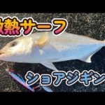 【ショアジギング】激熱青物釣り
