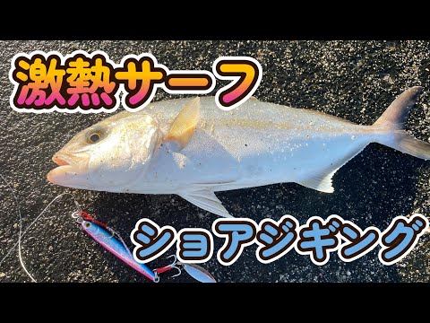 【ショアジギング】激熱青物釣り