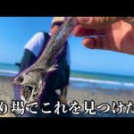 【マゴチ】濁りが入った時はこんな場所を探して！！！サーフで魚を釣るシンプルな方法【釣りを始めたけど中々釣れない人に見てほしい動画前編】