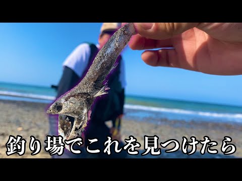 【マゴチ】濁りが入った時はこんな場所を探して！！！サーフで魚を釣るシンプルな方法【釣りを始めたけど中々釣れない人に見てほしい動画前編】