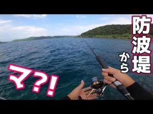 新ジャンルな釣りを求めてアレ使ったら１投目から…