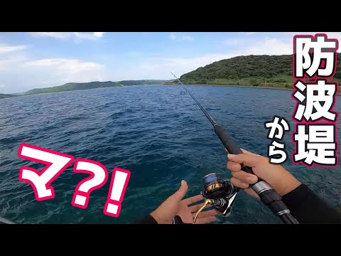 新ジャンルな釣りを求めてアレ使ったら１投目から…