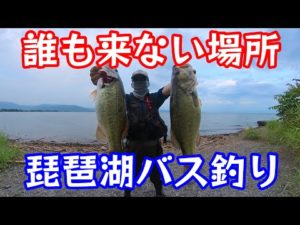 琵琶湖バス釣り マイナーな場所でビッグバス #バス釣り #琵琶湖 #insta360