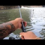 【バス釣りポイント】バス釣れるポイント教えちゃいますシリーズ！　坂東市編　出たのかモンスター！？【鵠戸川】