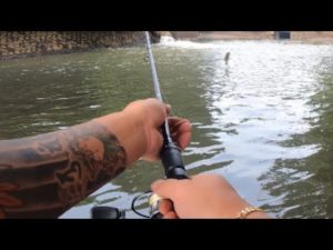 【バス釣りポイント】バス釣れるポイント教えちゃいますシリーズ！　坂東市編　出たのかモンスター！？【鵠戸川】