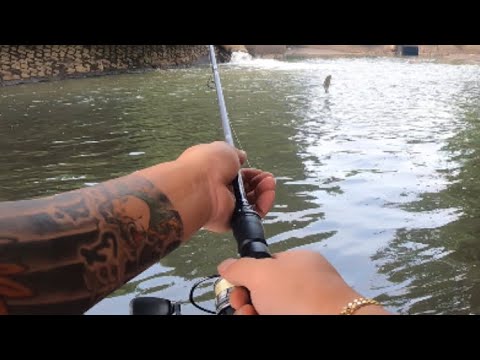 【バス釣りポイント】バス釣れるポイント教えちゃいますシリーズ! 坂東市編 出たのかモンスター!?【鵠戸川】