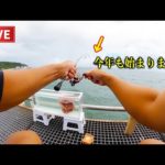 ［ミャク釣り］アジングタックルULで超繊細な駆け引き。※帰ってきたので早速【豊浜】調査。