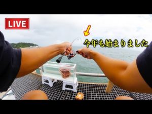 ［ミャク釣り］アジングタックルULで超繊細な駆け引き。※帰ってきたので早速【豊浜】調査。