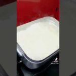 レッドモンスター捌いて食す！甘ぁい！  【釣り吉ショート/TikTok】 #shorts