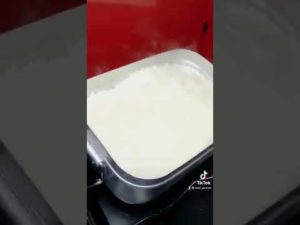 レッドモンスター捌いて食す！甘ぁい！  【釣り吉ショート/TikTok】 #shorts