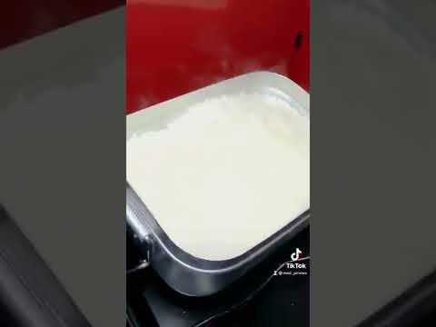 レッドモンスター捌いて食す！甘ぁい！  【釣り吉ショート/TikTok】 #shorts