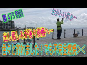 釣り動画ロマンを求めて 473釣目